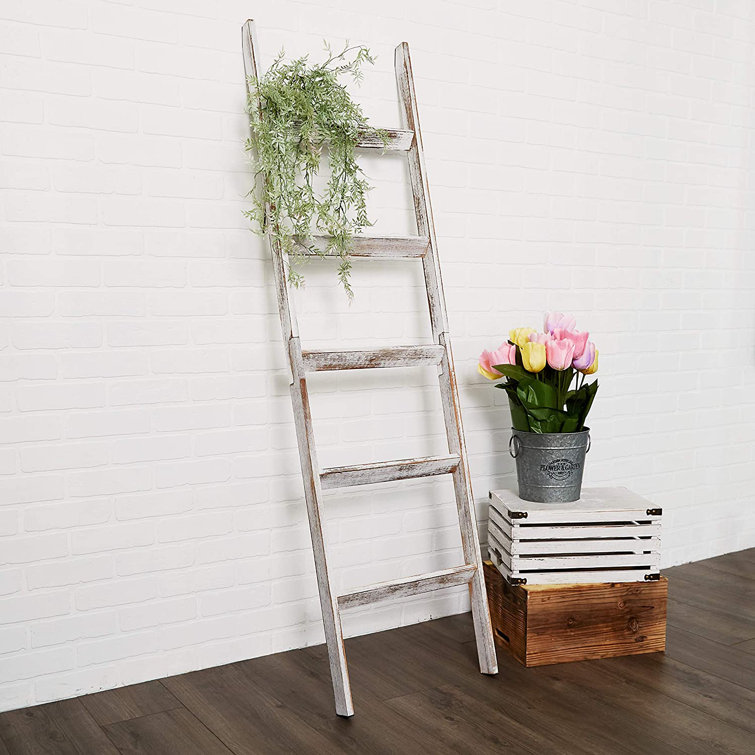 5ft 2025 blanket ladder